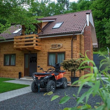 Bear'S Lair Chalet Porumbacu de Sus Exterior foto
