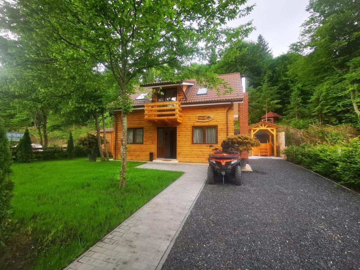 Bear'S Lair Chalet Porumbacu de Sus Exterior foto