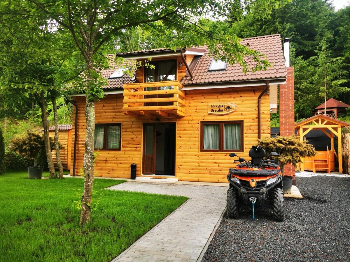 Bear'S Lair Chalet Porumbacu de Sus Exterior foto