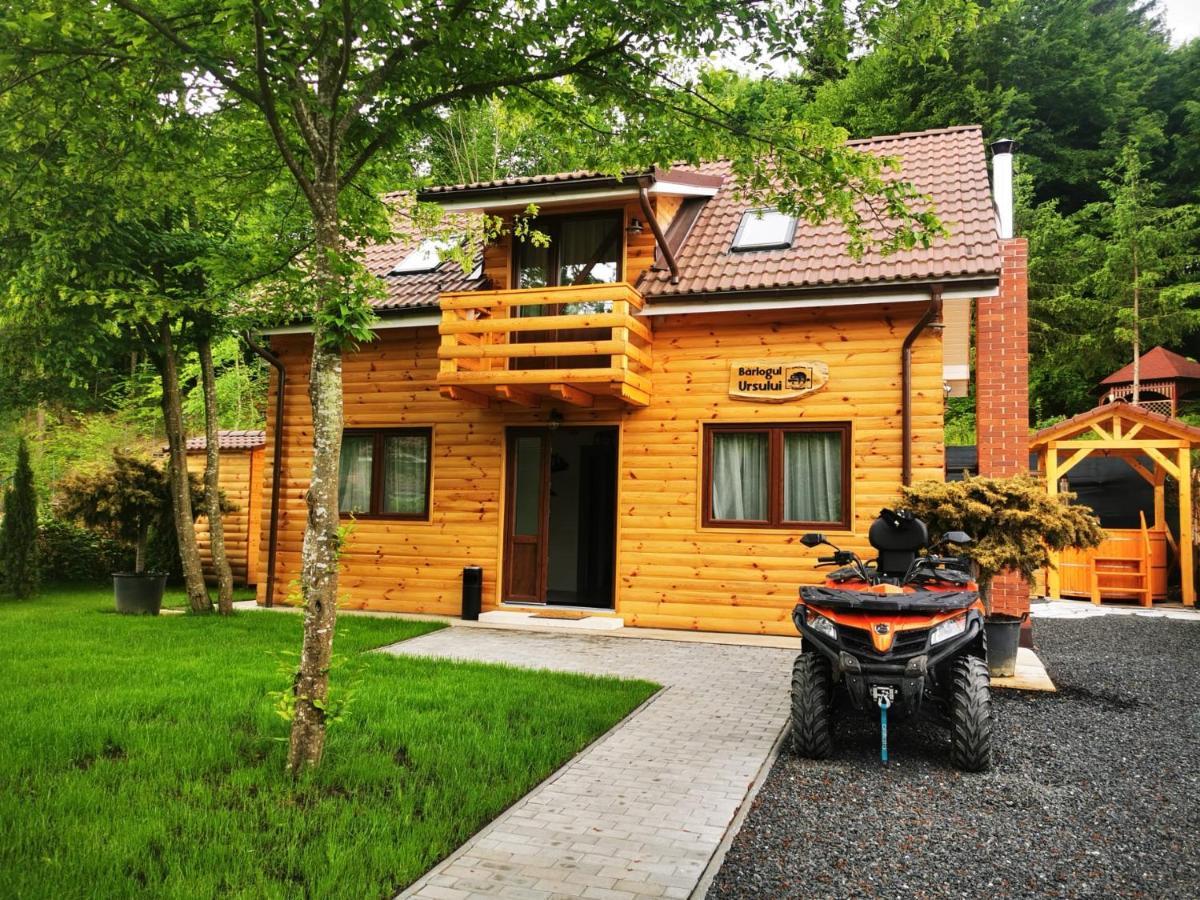 Bear'S Lair Chalet Porumbacu de Sus Exterior foto