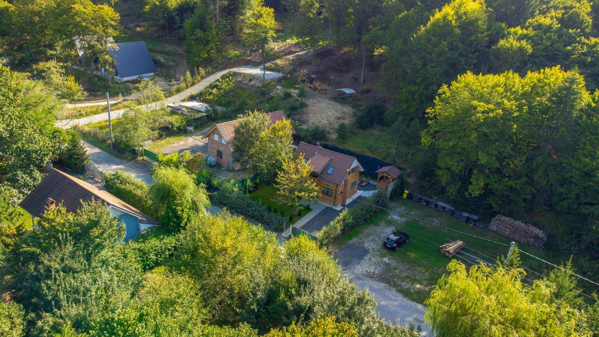 Bear'S Lair Chalet Porumbacu de Sus Exterior foto