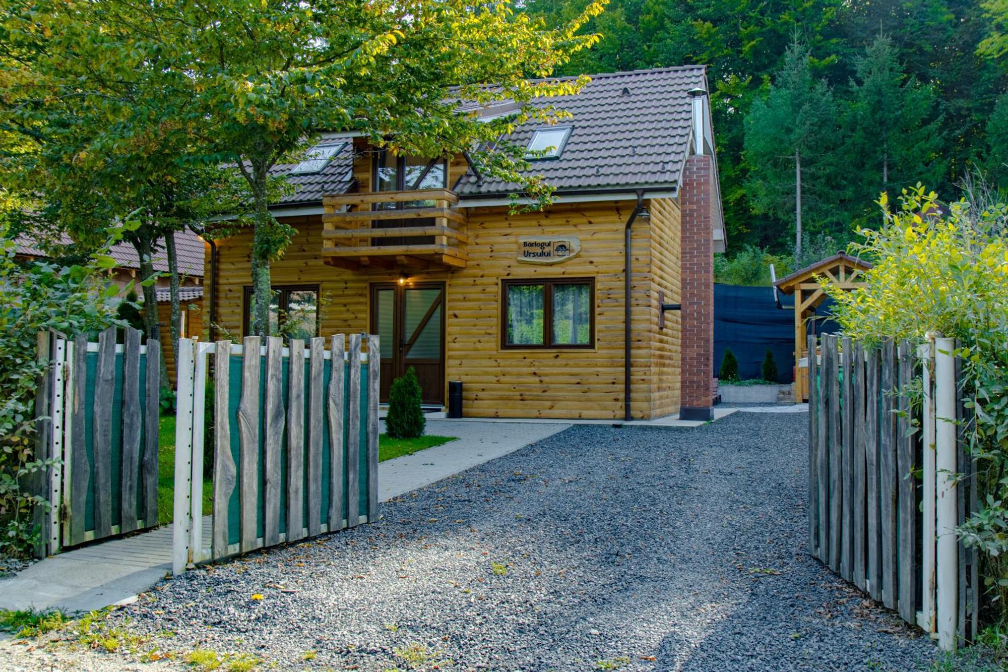 Bear'S Lair Chalet Porumbacu de Sus Exterior foto