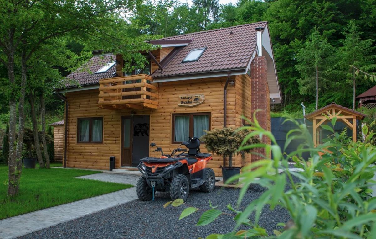 Bear'S Lair Chalet Porumbacu de Sus Exterior foto